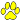 Paw Yellow