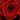 Rose Designs Badge