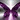 Purple Butterfly